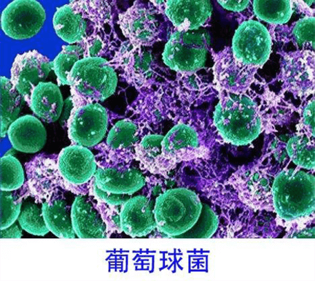 关注水韵净水微信公众号